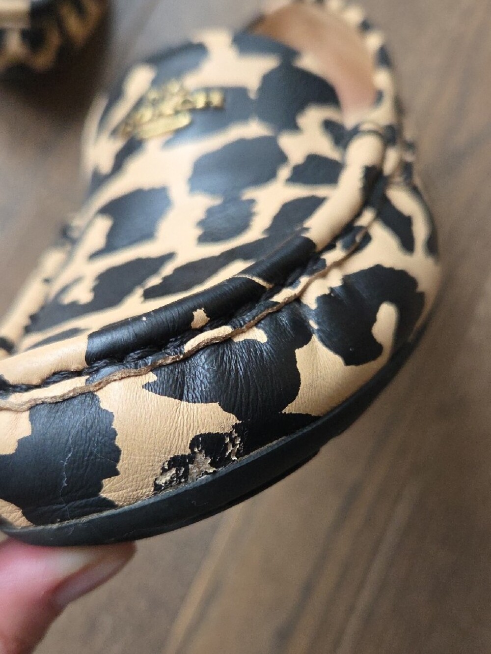 COACH Leopard-Print Leather Driving Loafers in Black and Beige - Picture 7 of 16